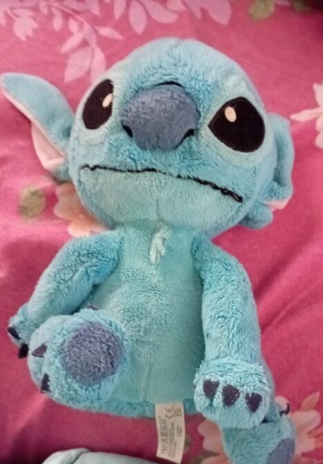 cropped cropped cropped cropped img 20251125 155730 scaled 2.jpg